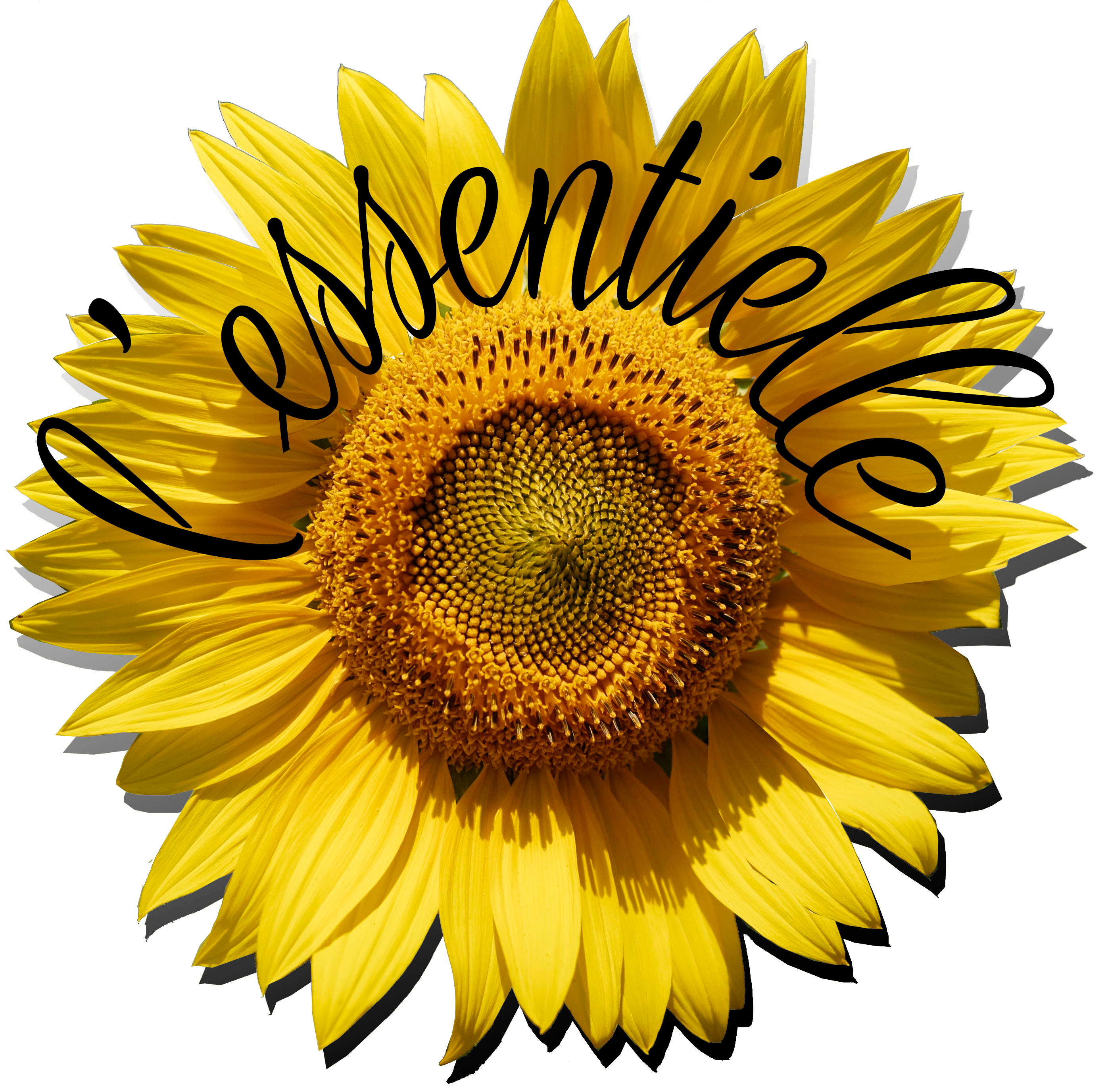 Logo Savonnerie l'Essentielle